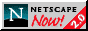 netscape logo